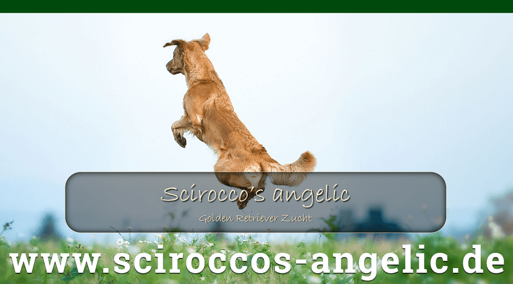 (c) Sciroccos-angelic.de